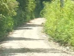 Diduga Hambat Pembangunan Jalan, Akses Jalan Tunggul Bute Menyempit