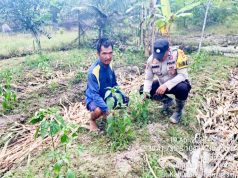 Bhabinkamtibmas Polsek Pulau Rimau Gerakkan Masyarakat Dukung Program SPN