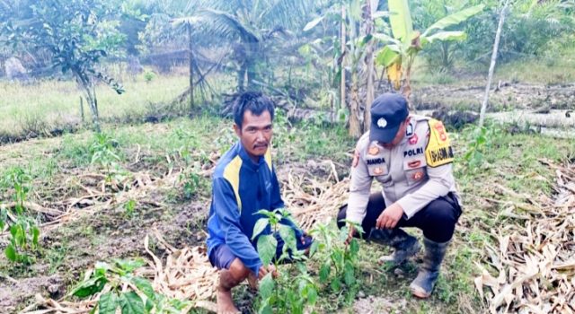 Bhabinkamtibmas Polsek Pulau Rimau Gerakkan Masyarakat Dukung Program SPN