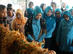 Feby Deru Blusukan ke Perajin Gambo Babat Toman, Dorong Produk Lokal Sumsel Tembus Pasar Global