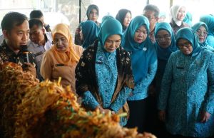 Feby Deru Blusukan ke Perajin Gambo Babat Toman, Dorong Produk Lokal Sumsel Tembus Pasar Global