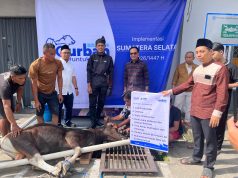 BRI Region 4 Palembang Distribusikan 45 Hewan Kurban di Berbagai Daerah di Sumatera Selatan, Jambi dan Kepulauan Bangka