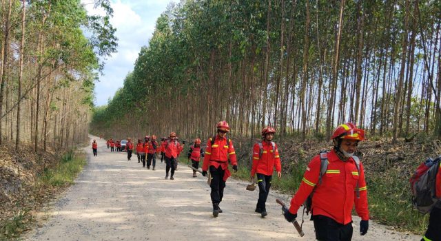 Kebakaran Kebun Karet Warga di Kaliberau Berhasil Dikendalikan, 35 Personel Gabungan Turun Tangan