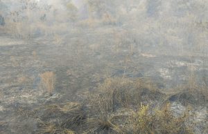 Kebakaran Hebat di Lahan Kosong Milik Thamrin Brothers, Picu Kegemparan dan Kepanikan Warga RT 04 RW 02 Kelurahan Kebun Bunga Kecamatan Sukarami Palembang