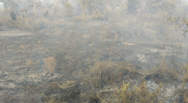 Kebakaran Hebat di Lahan Kosong Milik Thamrin Brothers, Picu Kegemparan dan Kepanikan Warga RT 04 RW 02 Kelurahan Kebun Bunga Kecamatan Sukarami Palembang