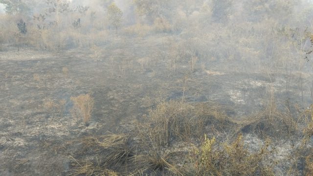 kebakaran---foto utama