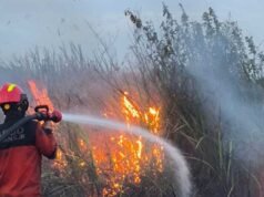 DPRD Ogan Ilir Ini Beri Usulan Penanggulangan Karhutla: Ambil Lahan Terbakar Jika Pemilik Tak Bertanggungjawab