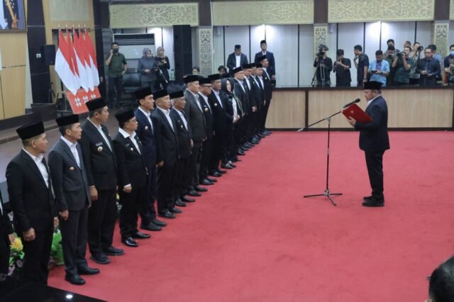 file (2)